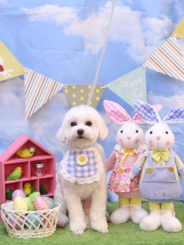 20240312ミルクくん